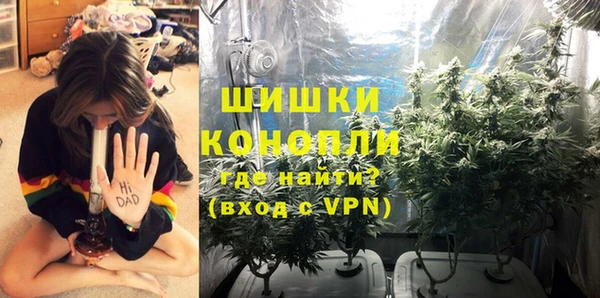 МДПВ Заводоуковск