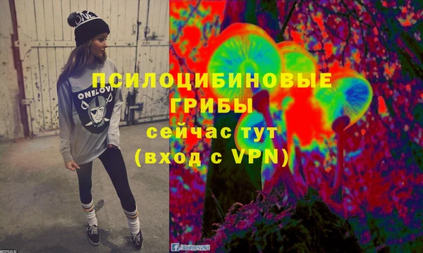 МДПВ Заводоуковск